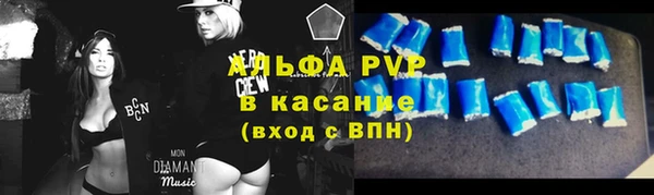 гашик Арсеньев