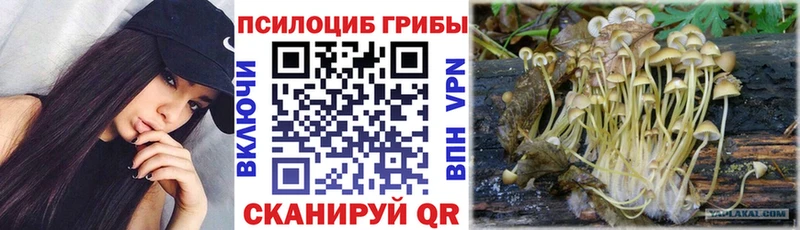 продажа наркотиков  Старый Крым  Псилоцибиновые грибы Psilocybine cubensis 